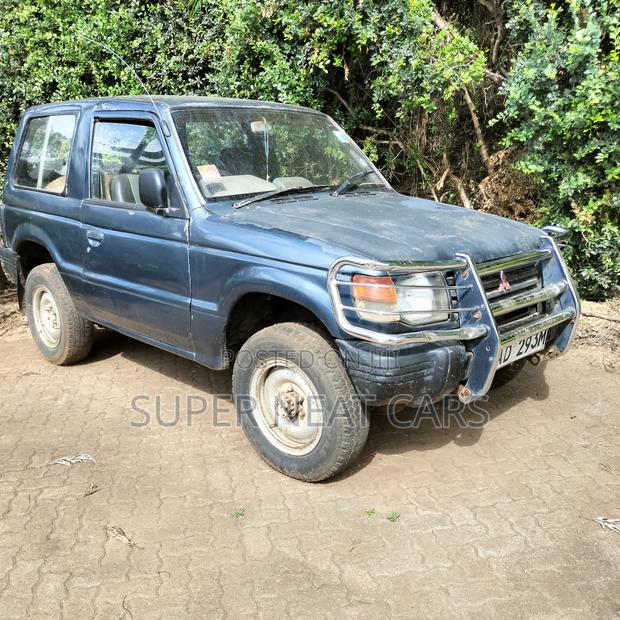 Mitsubishi Pajero 1994 Gray