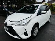 Toyota Vitz 1.3 FWD 5dr 2017 Pearl for sale