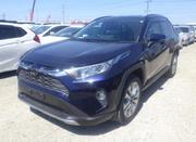 Toyota RAV4 Limited AWD 2019 Blue for sale