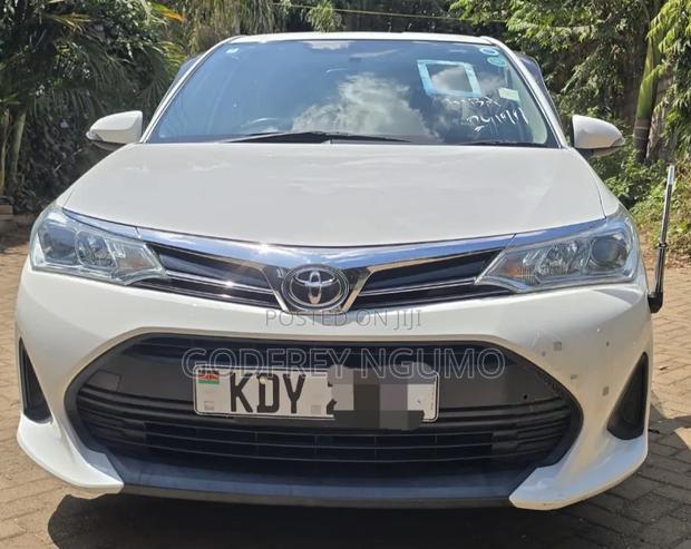 Toyota Axio 2019 White