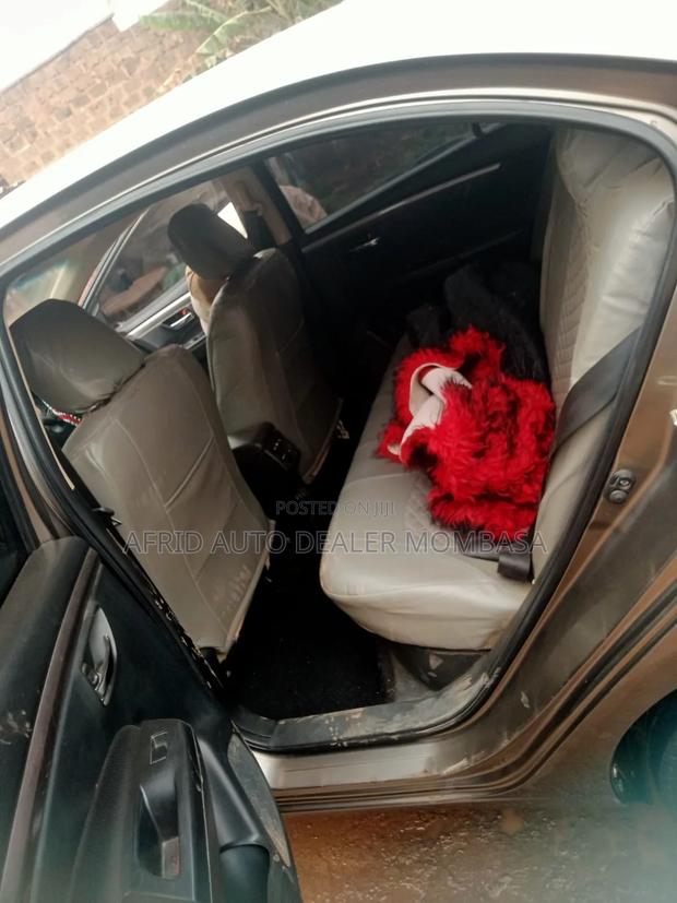 Toyota Belta 2022 Brown