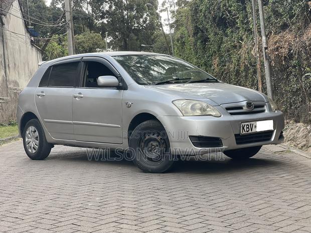 Toyota Corolla RunX 2006 Silver