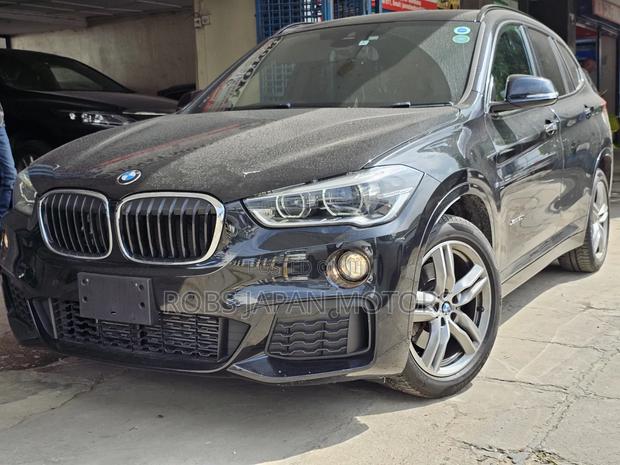 BMW X1 2018 Matt Black