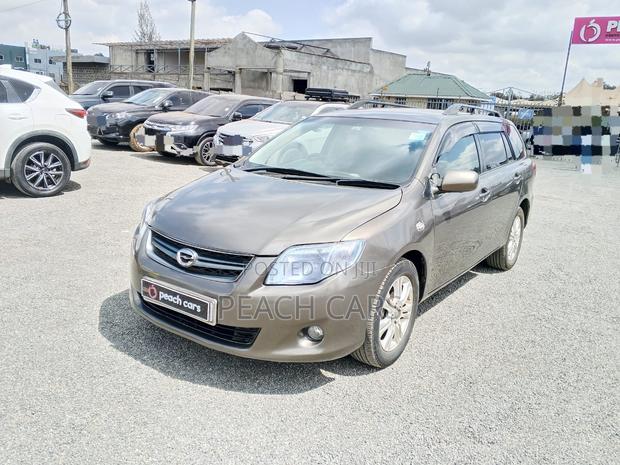 Toyota Corolla Fielder 2010 Brown