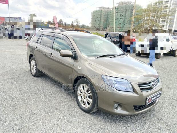 Toyota Corolla Fielder 2010 Brown