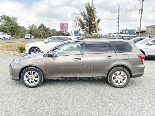 Toyota Corolla Fielder 2010 Brown