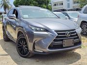 Lexus NX 2019 Gray for sale