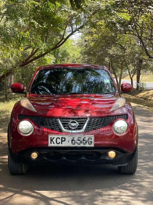 Nissan Juke 2011 Maroon