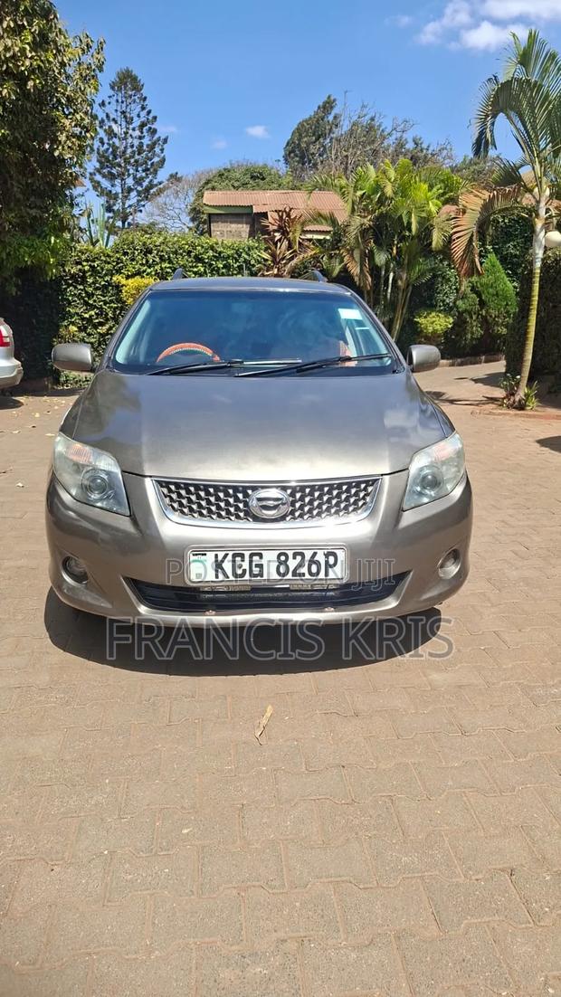 Toyota Corolla Fielder 2008 Burgundy