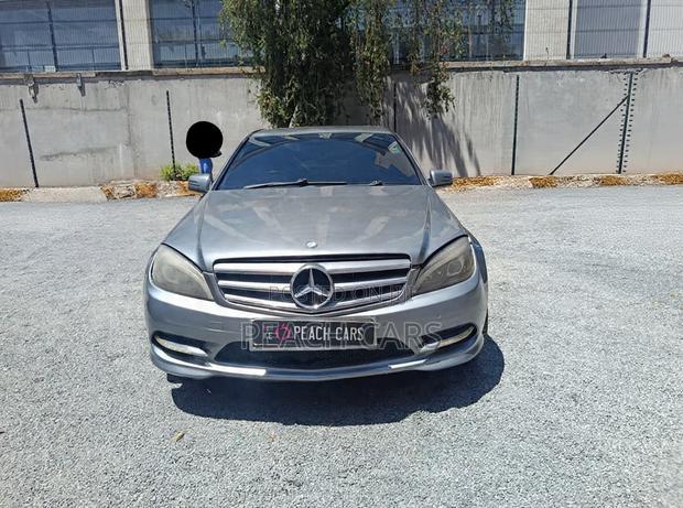 Mercedes-Benz C-Class 2009 Gray