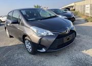 Toyota Vitz 2019 Gray for sale