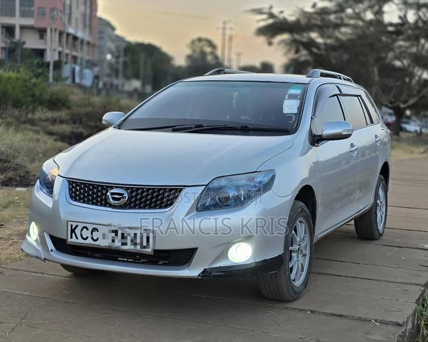 Toyota Corolla Fielder 2008 Silver