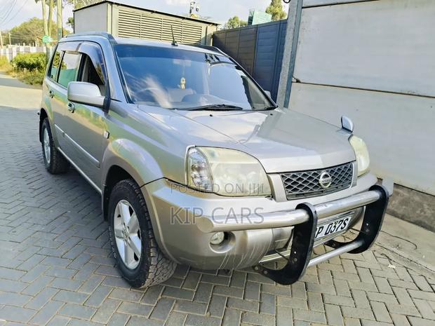 Nissan X-Trail 2006 Gray