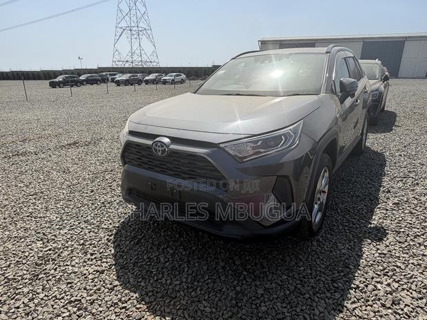Toyota RAV4 LE AWD 2019 Gray