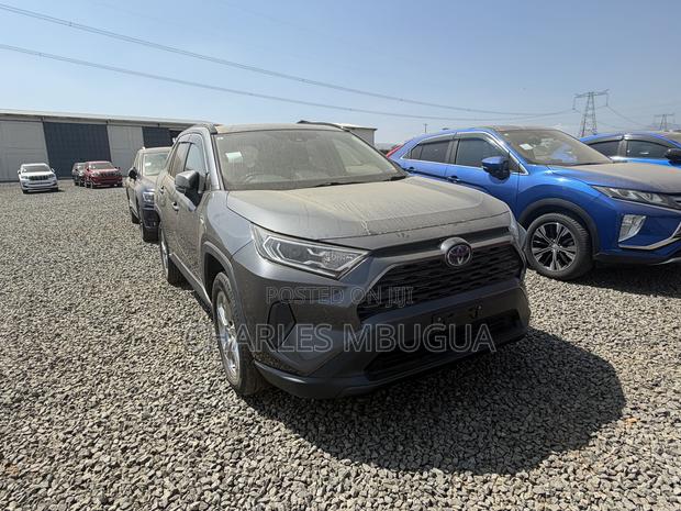 Toyota RAV4 LE AWD 2019 Gray