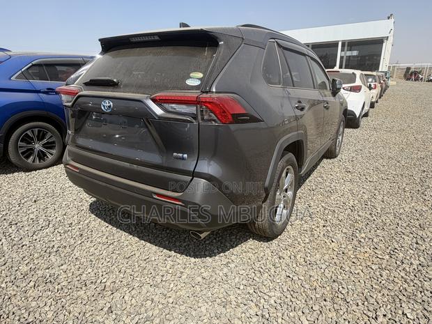 Toyota RAV4 LE AWD 2019 Gray