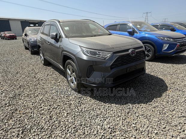 Toyota RAV4 LE AWD 2019 Gray