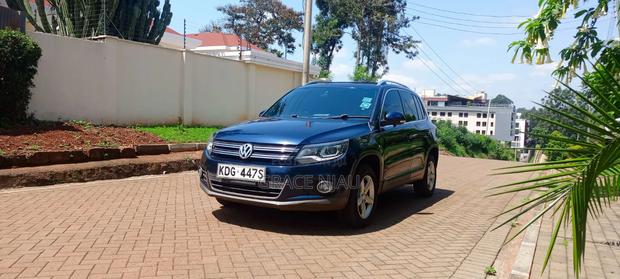 Volkswagen Tiguan 2014 Blue