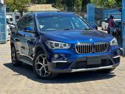 BMW X1 2019 Blue for sale