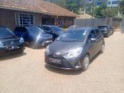Toyota Vitz 2019 Gray for sale