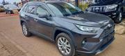 Toyota RAV4 XLE Premium FWD 2019 Gray for sale
