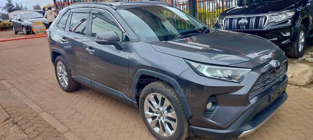 Toyota RAV4 XLE Premium FWD 2019 Gray