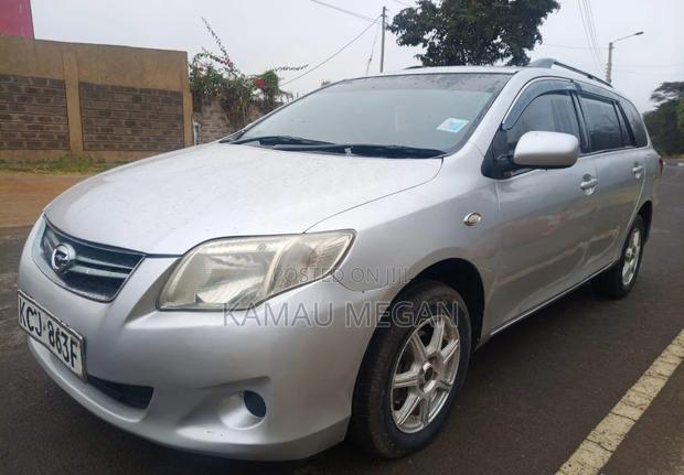 Toyota Corolla Fielder 2010 Silver