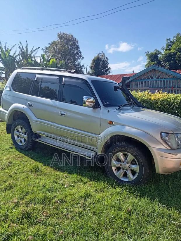 Toyota Land Cruiser 2001 Silver