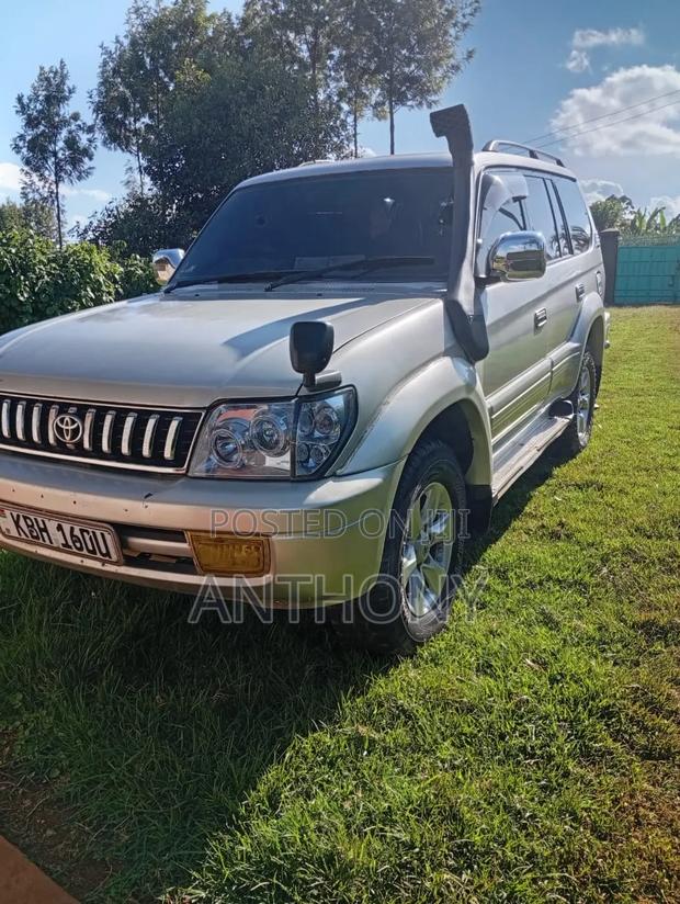 Toyota Land Cruiser 2001 Silver