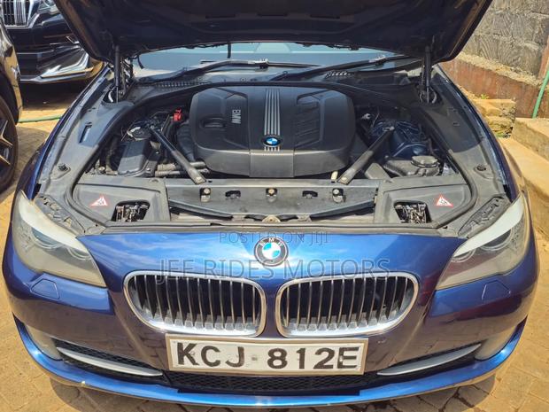 BMW 520i 2009 Blue