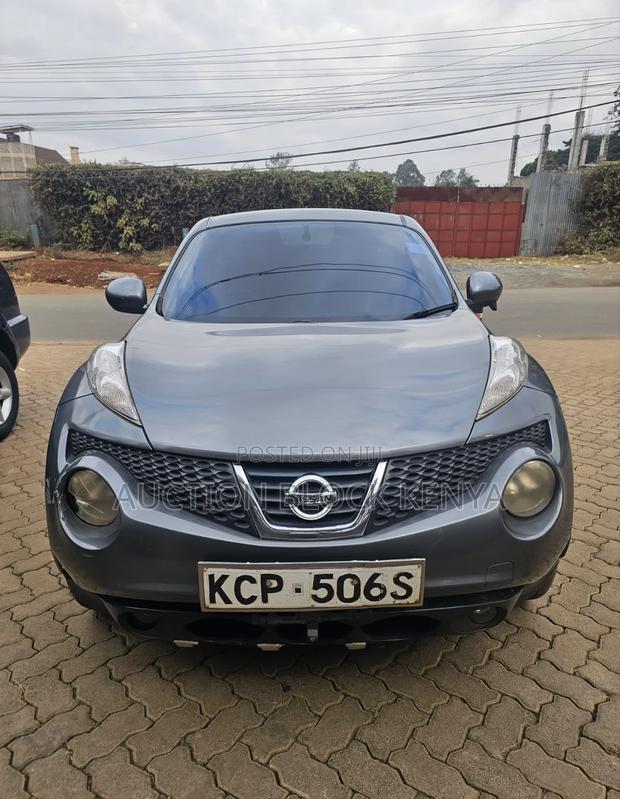 Nissan Juke 2011 Gray