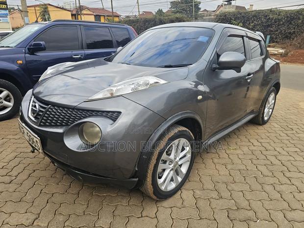 Nissan Juke 2011 Gray