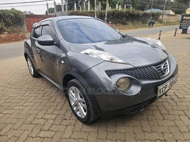 Nissan Juke 2011 Gray