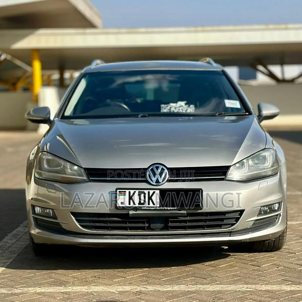 Volkswagen Golf Variant 2015 Gray