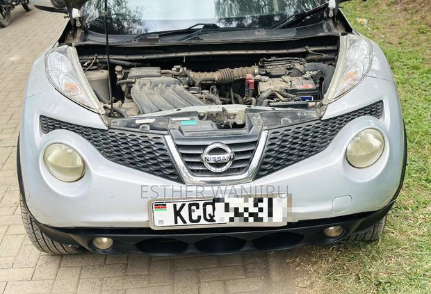 Nissan Juke 2011 Silver