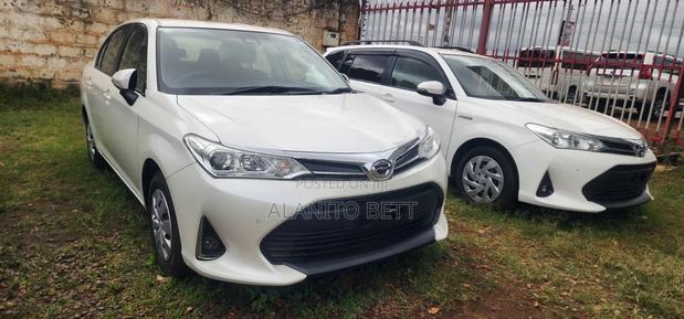 Toyota Axio 2019 White