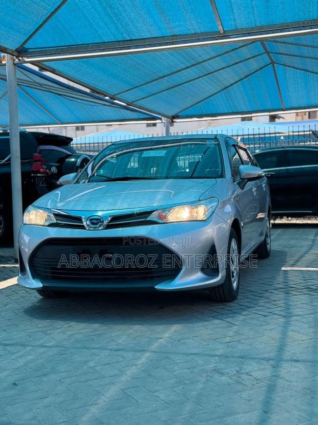 Toyota Corolla Fielder 2019 Silver