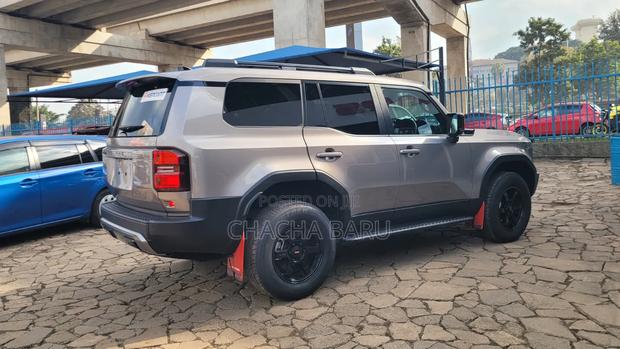 Toyota Land Cruiser 2024 Gray