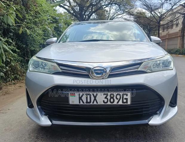 Toyota Corolla Fielder 2019 Silver