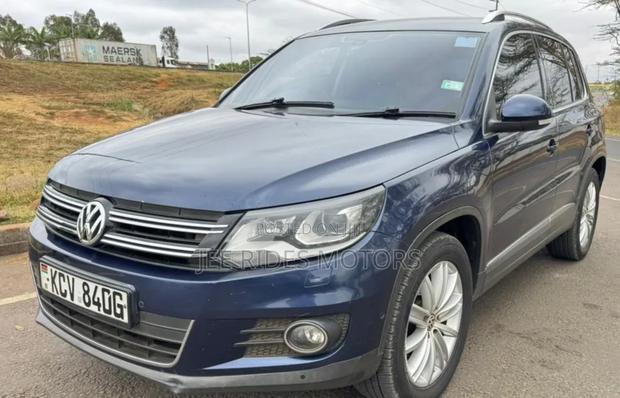 Volkswagen Tiguan 2014 Gray