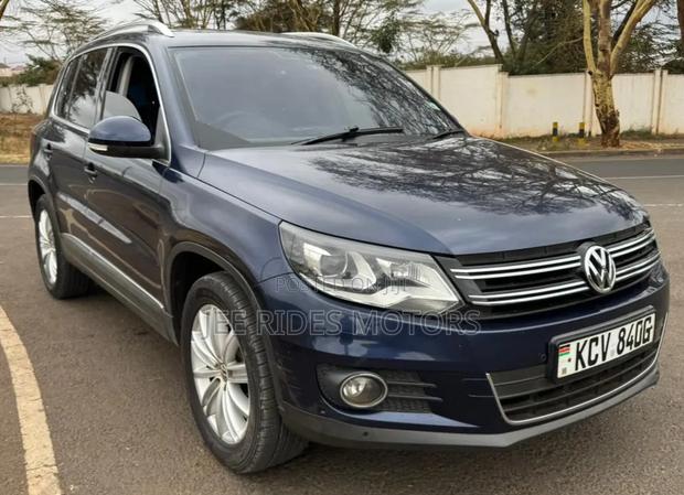 Volkswagen Tiguan 2014 Gray