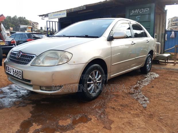Toyota Corolla 2005 Gold