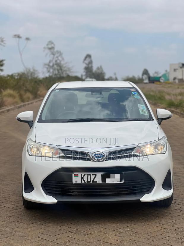 Toyota Corolla Fielder 2019 White