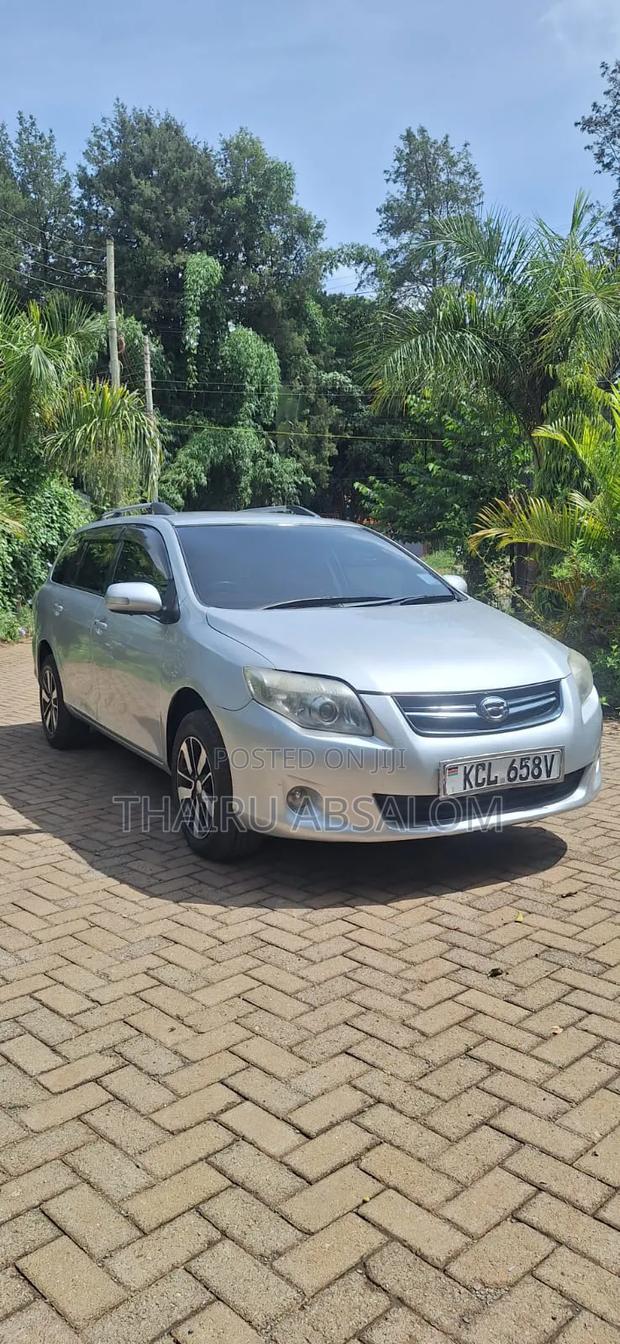 Toyota Corolla Fielder 2010 Silver