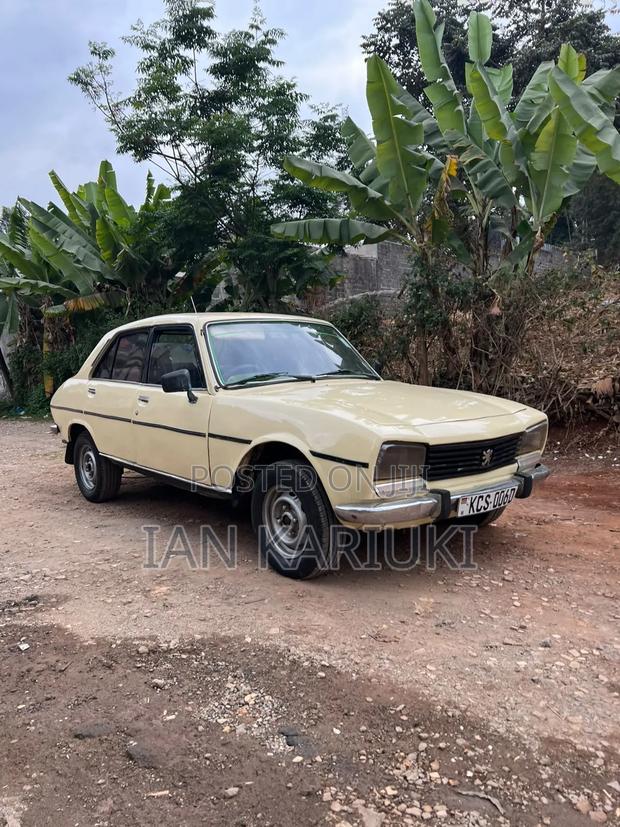 Peugeot 504 1970 Beige