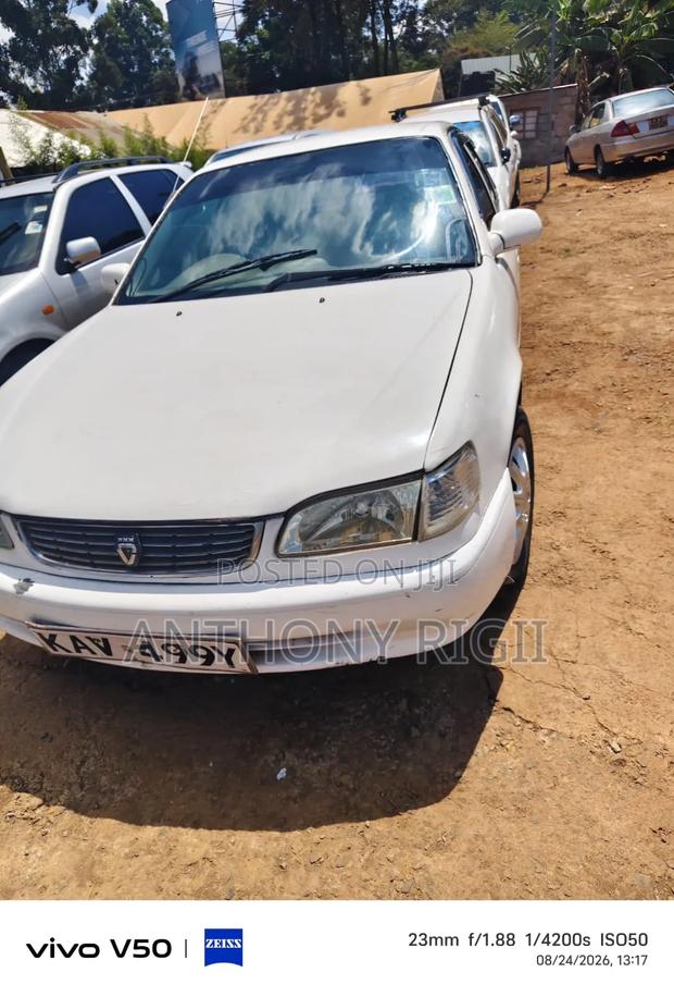 Toyota Corolla 2000 White