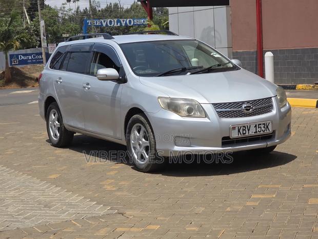 Toyota Corolla Fielder 2007 Silver