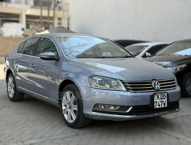 Volkswagen Passat 2013 Blue