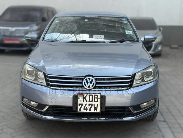 Volkswagen Passat 2013 Blue