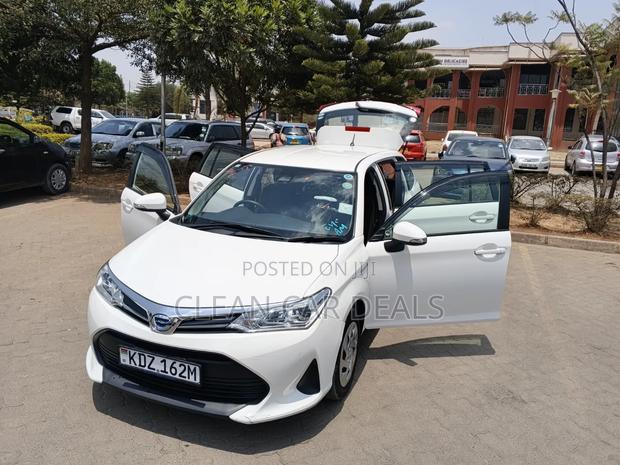 Toyota Corolla Fielder 2019 White